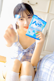 眉公河大案